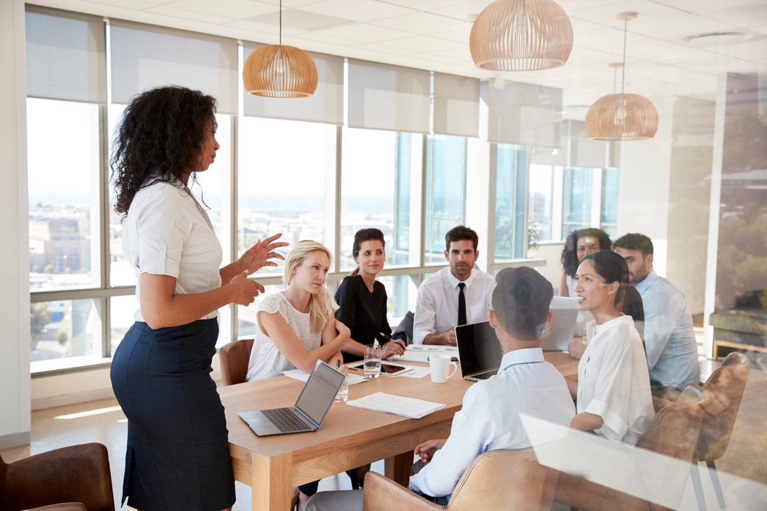 Woman Presenting to Colleagues in a Conference Room 
